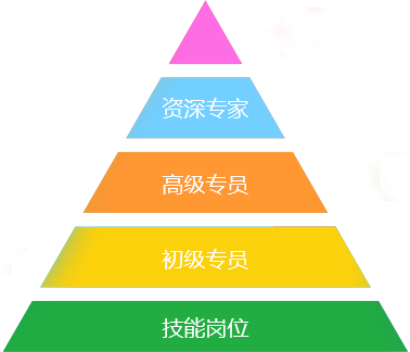 米禾技术岗晋升路线